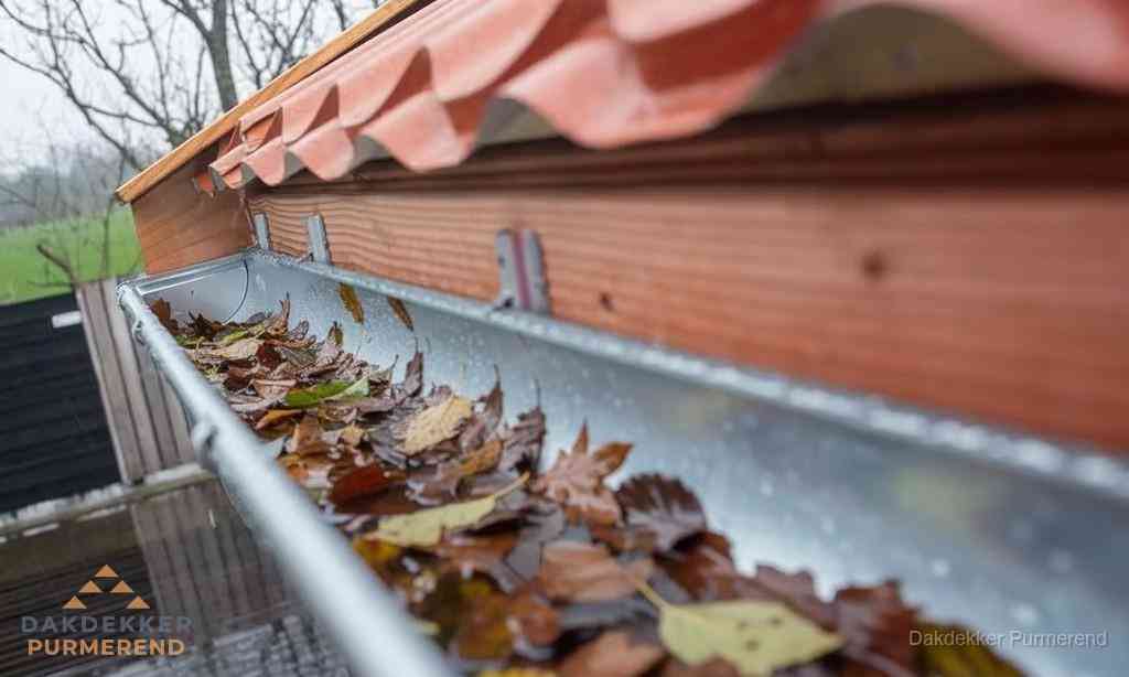 Dakbedekking Dakgoot Reinigen Purmerend