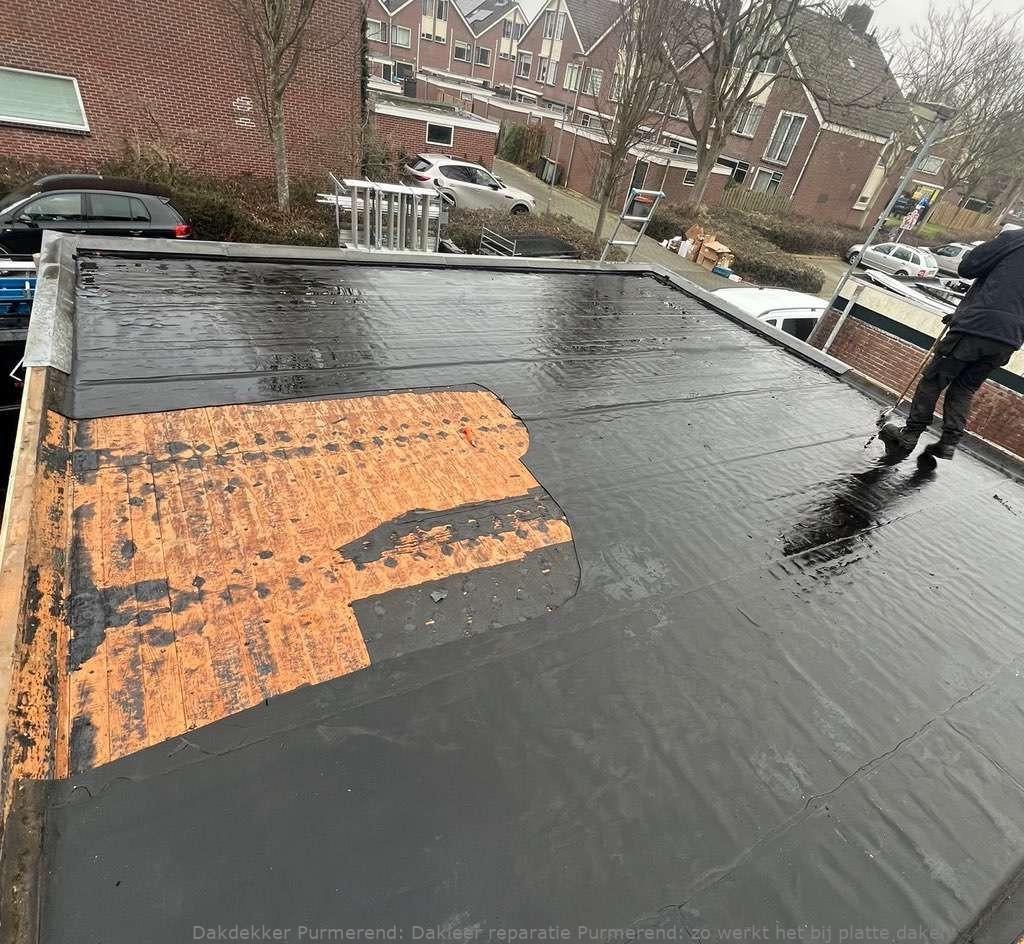 Dakleer Reparatie Purmerend