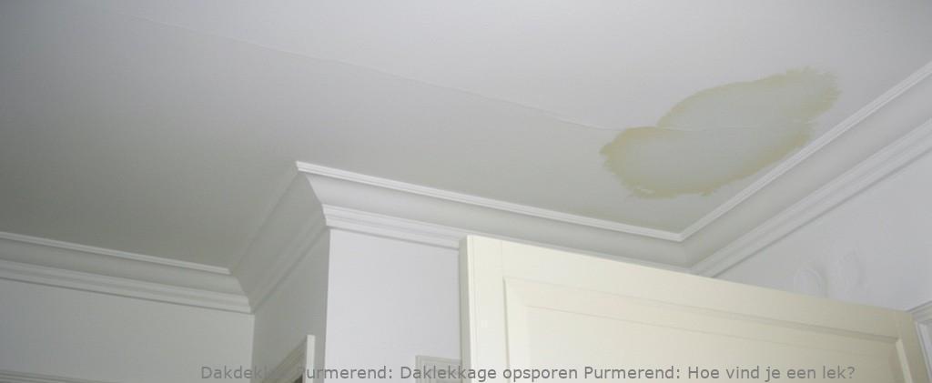 Daklekkage Opsporen Purmerend 1