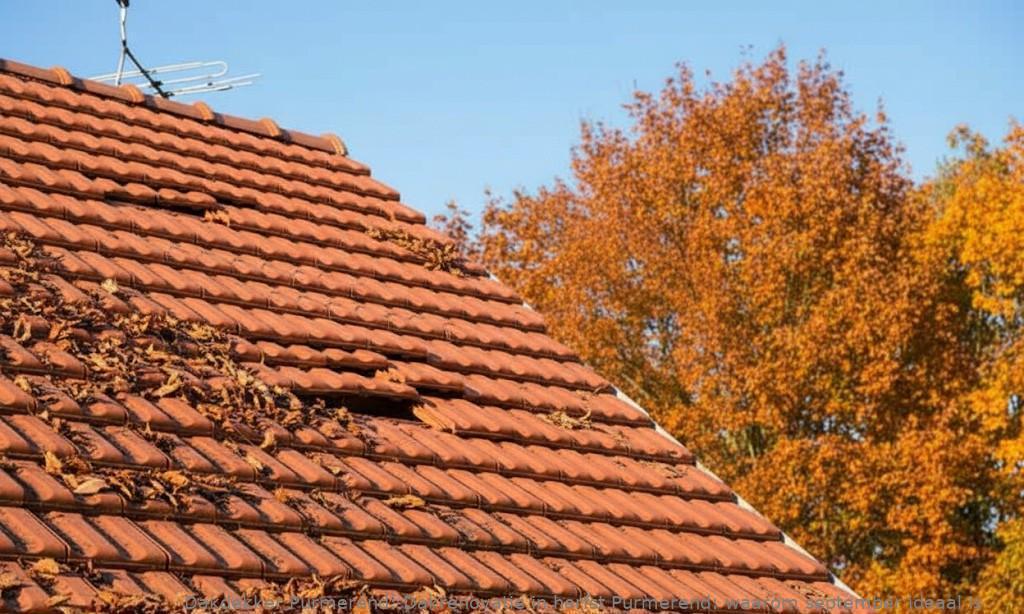 Dakrenovatie In Herfst Purmerend