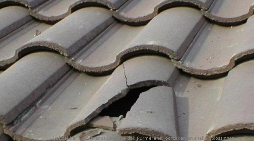 Lekkage Schuin Dak Purmerend