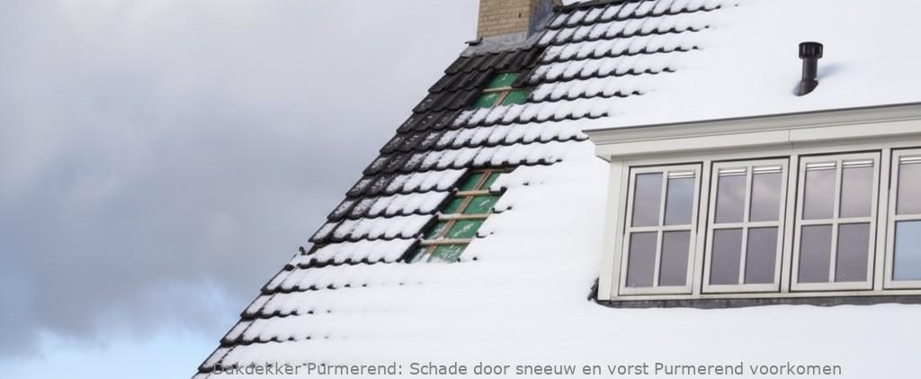 Schade Door Sneeuw En Vorst Purmerend