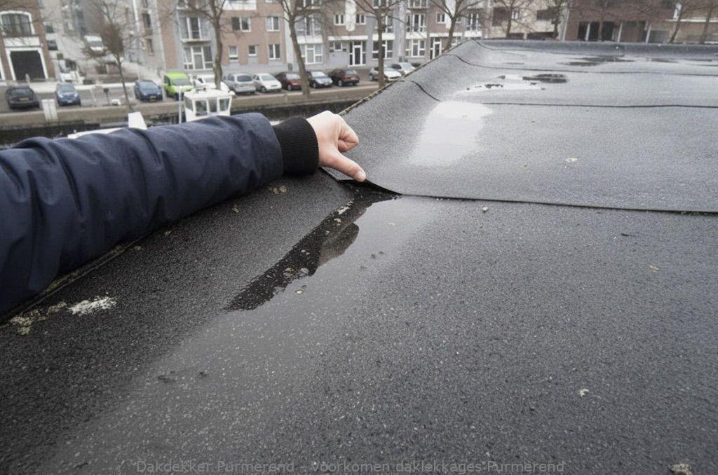 Voorkomen Daklekkages Purmerend